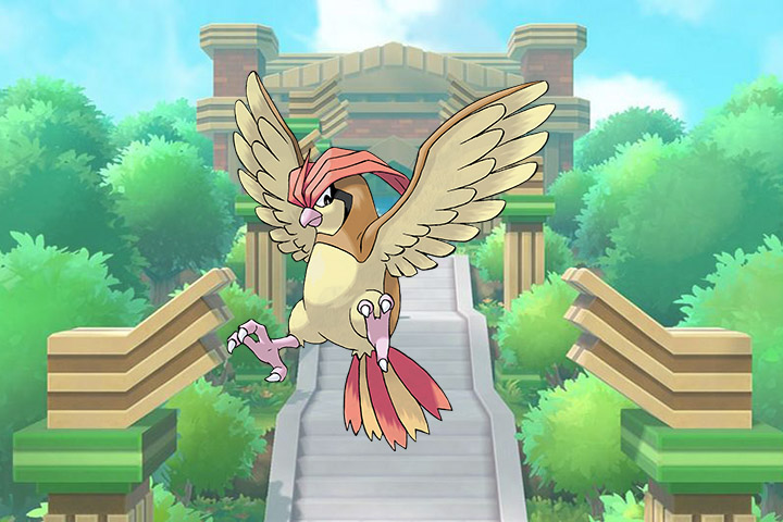 Roucoups - Pokémon Let's Go, Pikachu et Évoli - 017